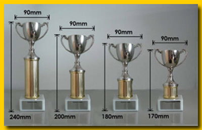 trophies china