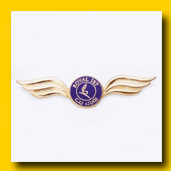 hard enamel pins made in china