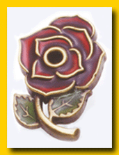 epoxy pinsmade in china