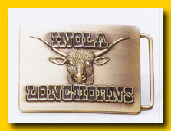 China Belt buckles