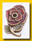 Custom Pins